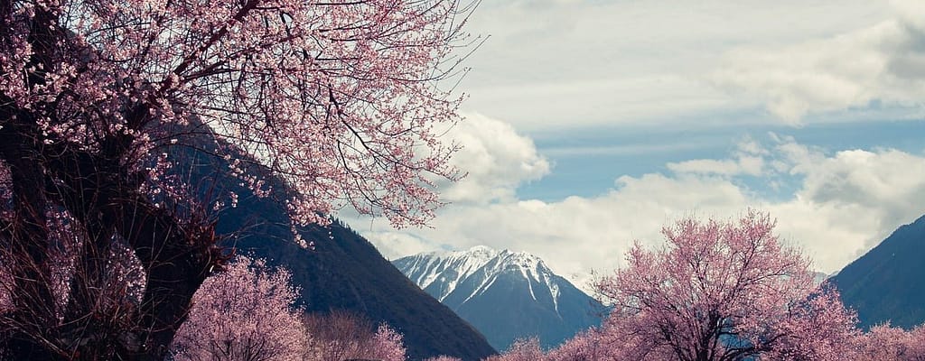 Como Organizar un Viaje al Tibet, Que Hacer, Requisitos Y Tips!