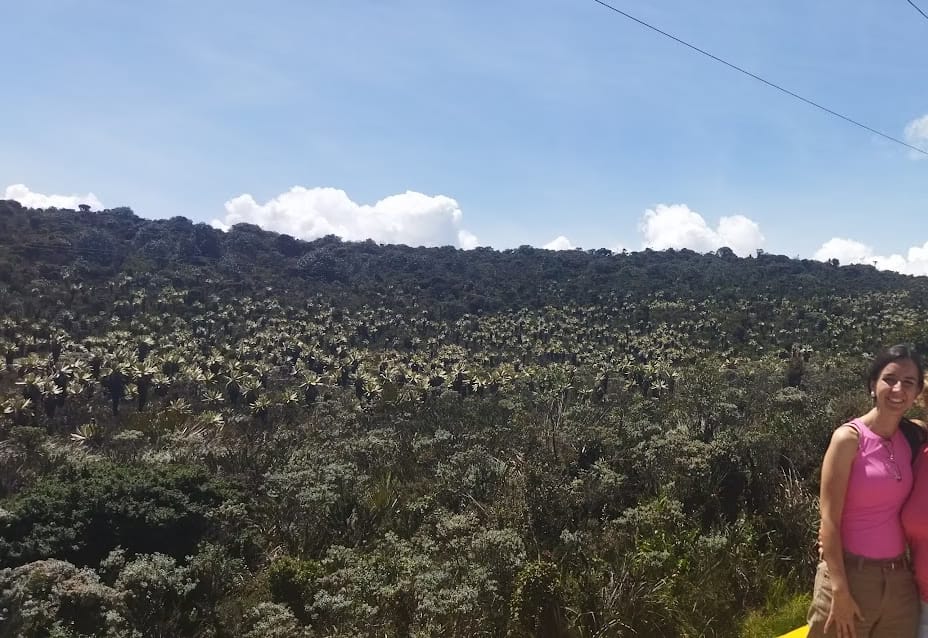 paramo de bordoncillo