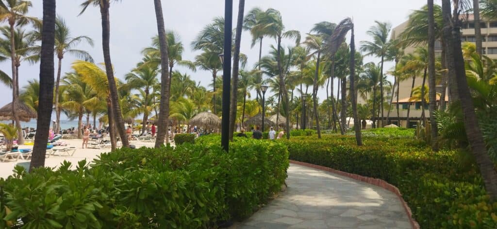 sendero palm beach