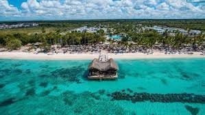 be live collection canoa