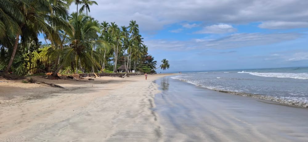 playa bonita las terrenas